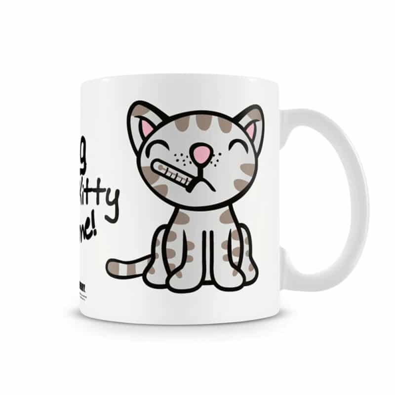 Big Bang Theory Coffee Mug Sing Soft Kitty to me