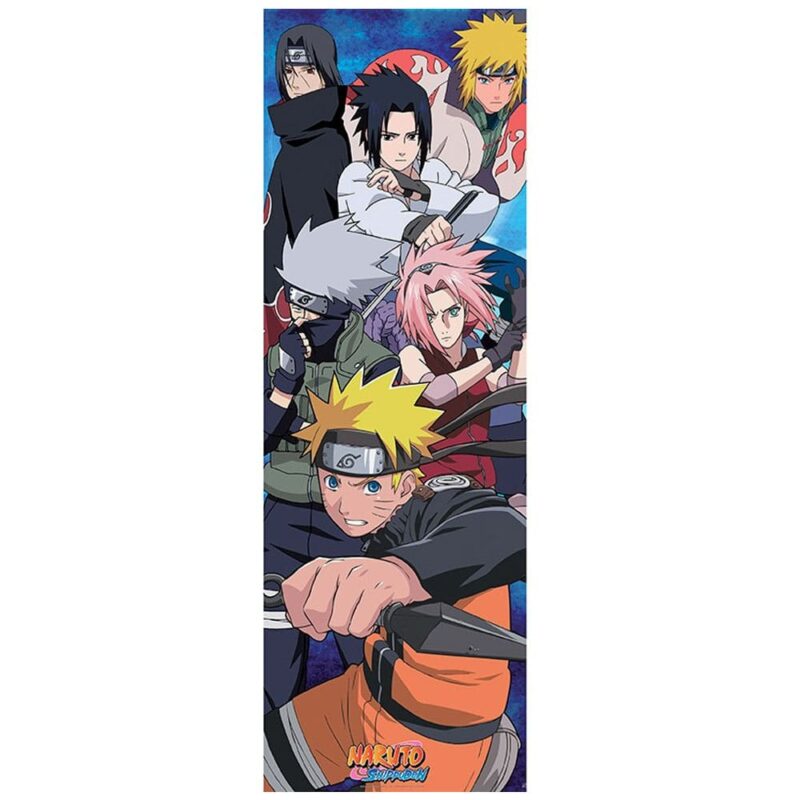 Naruto Shippuden Door Poster
