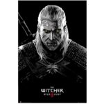 The Witcher poster Toxicity Poisoning