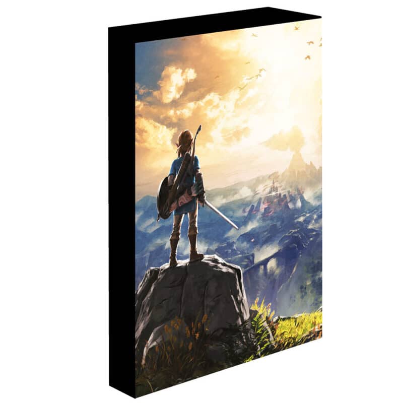 The Legend of Zelda Light Up Canvas Into The Wilds