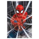 Spider-Man Gotcha Poster