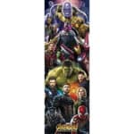 Marvel: The Avengers Infinity War door size poster